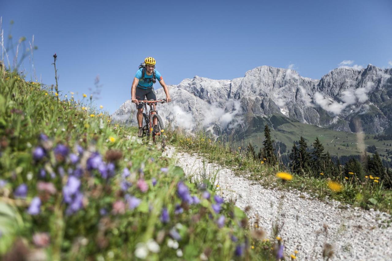 Gasteg Living Lägenhet Maria Alm am Steinernen Meer Exteriör bild