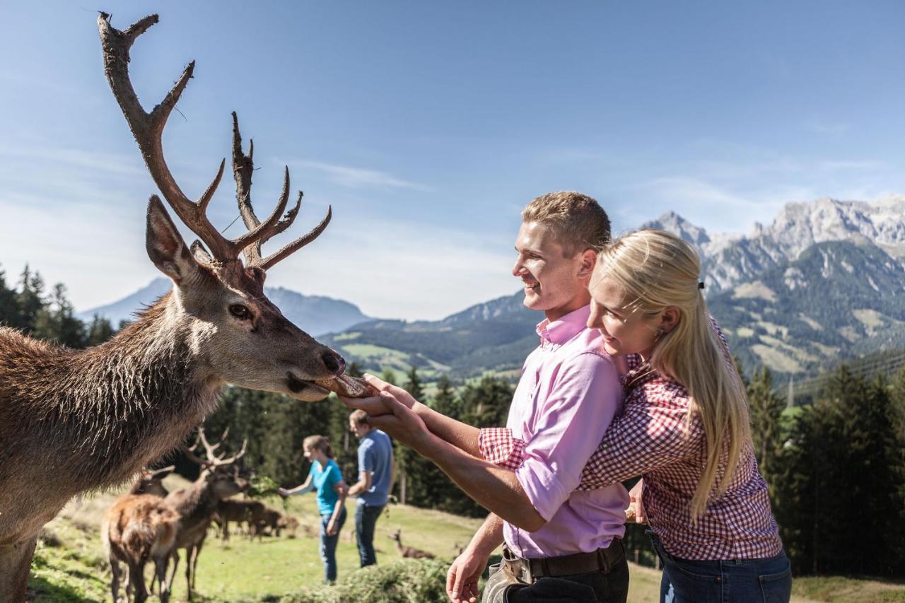 Gasteg Living Lägenhet Maria Alm am Steinernen Meer Exteriör bild